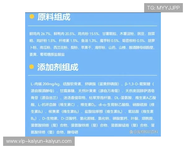 2026年度热门低脂调料品牌推荐健康美味新选择指南